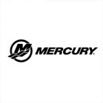 Mercury marine engine repair
